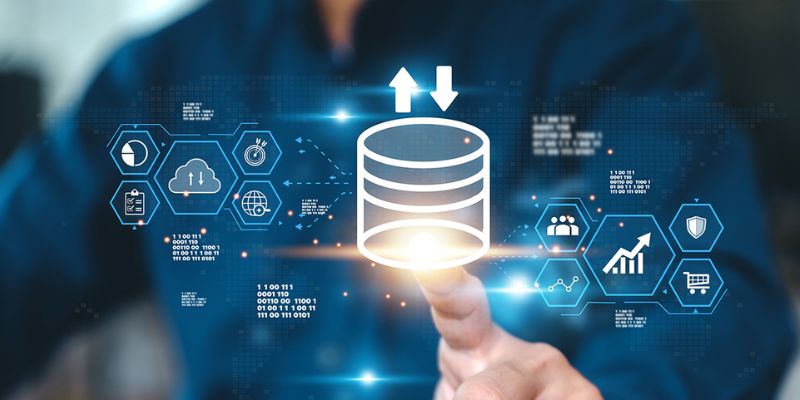 Những thông tin mà RoPhim thu thập